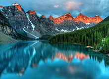 辉达娱乐-英超-马杜埃凯破门波特扳平 阿森纳1-1布伦特福德